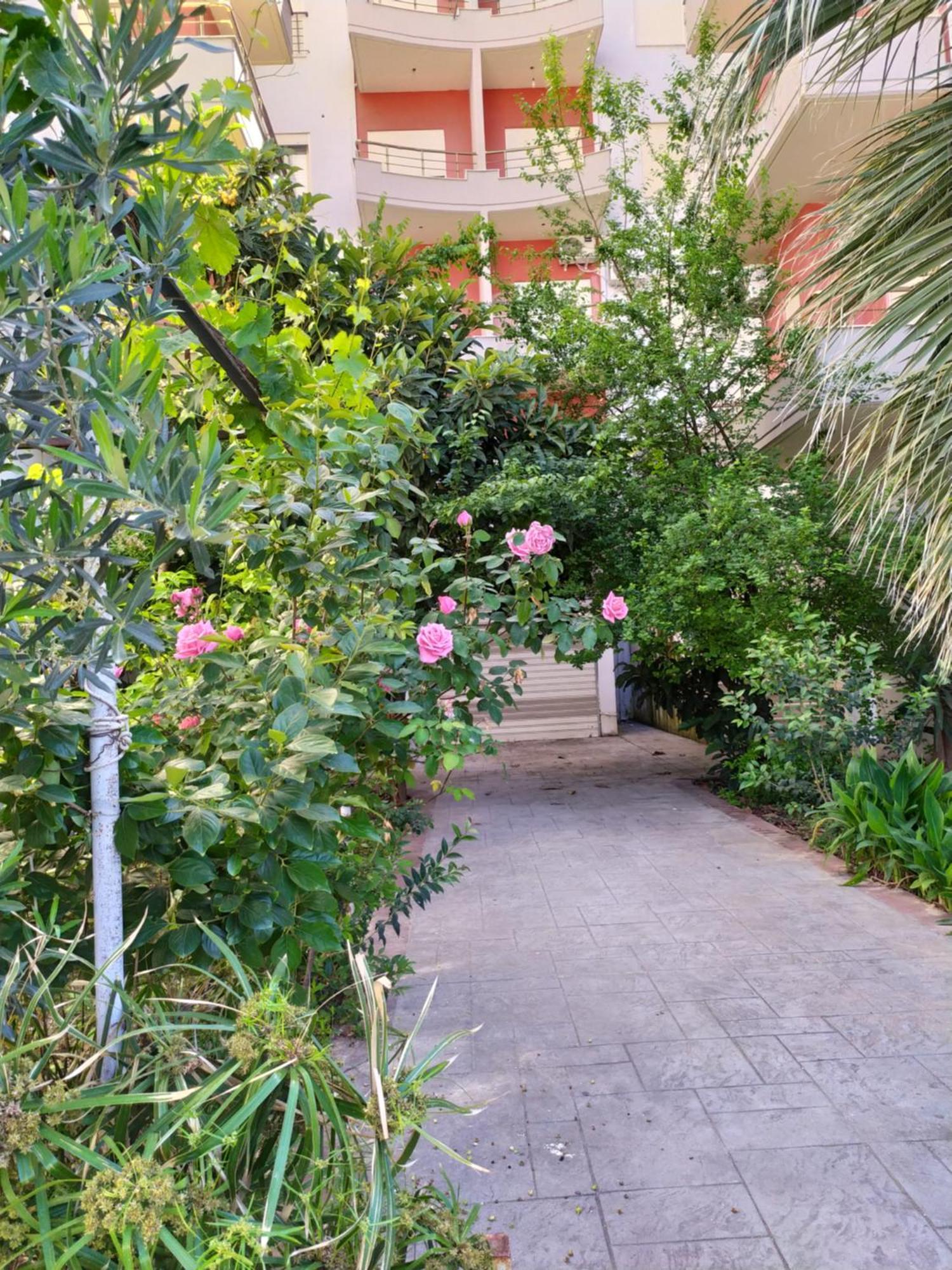 Valbona Apartments Vlorë Extérieur photo